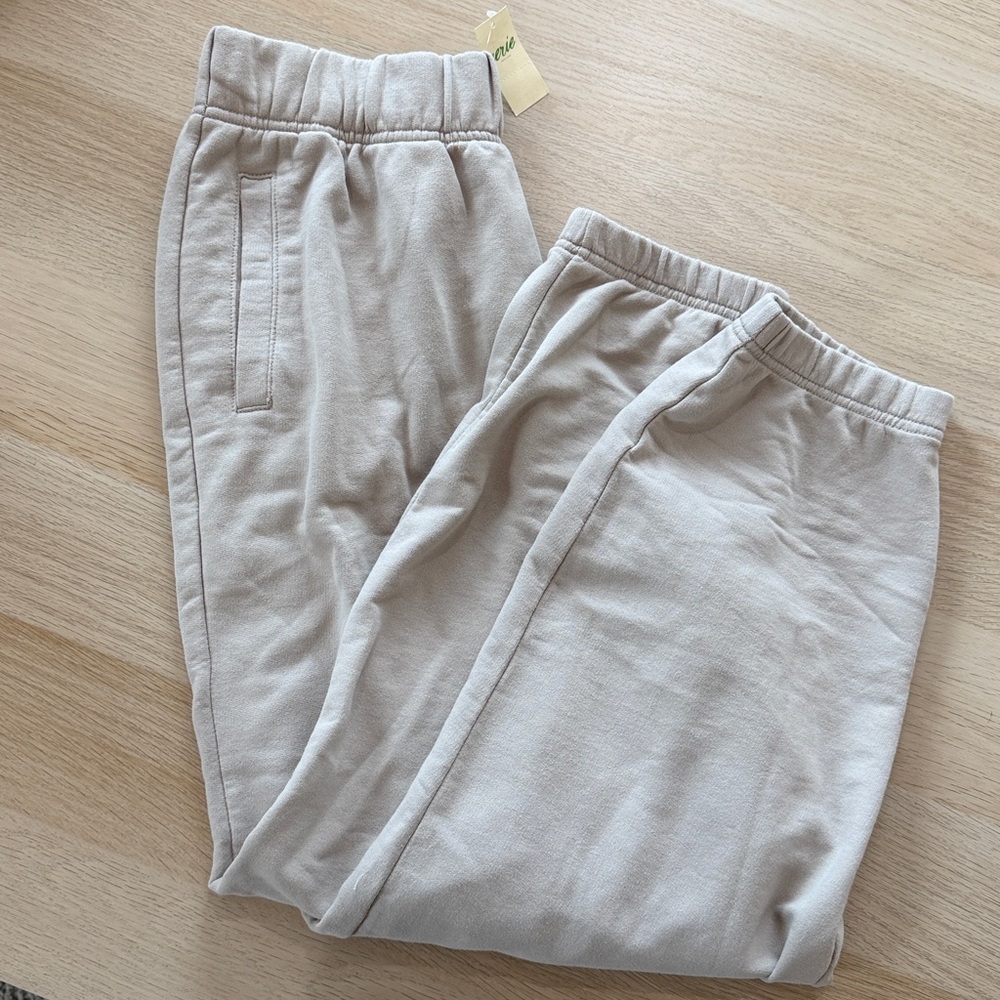 Aerie Jet Setter Jogger NWT